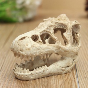 dragon skull model