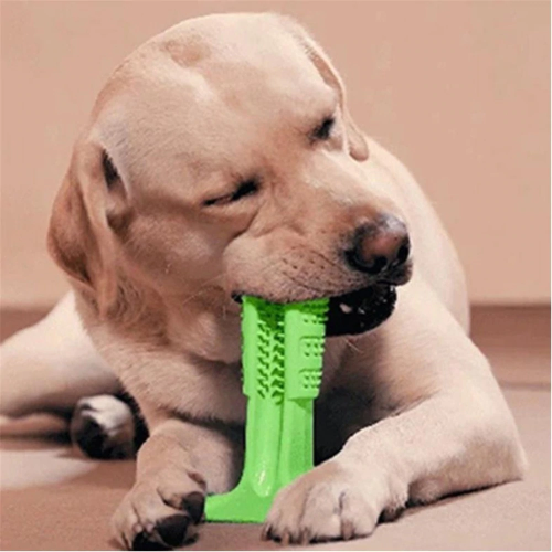doggo toothbrush