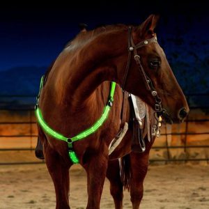 LED Breastplate for aliexpress horse