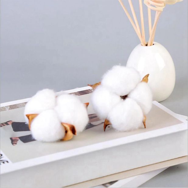 aliexpress dried cotton