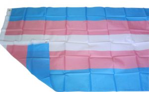 aliexpress transgender flag