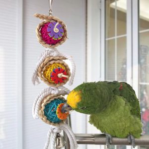 Aliexpress hanging bird toys
