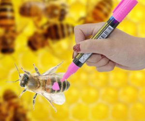 bee queen marker